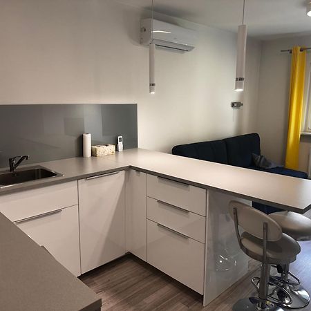 Comfortable Studio Only 20 Minutes From International Conference Center Katowice Best Place For Wuf2022 Eec Tnf Off Etc Siemianowice Śląskie Exteriér fotografie