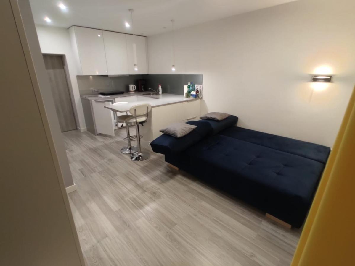 Comfortable Studio Only 20 Minutes From International Conference Center Katowice Best Place For Wuf2022 Eec Tnf Off Etc Siemianowice Śląskie Exteriér fotografie
