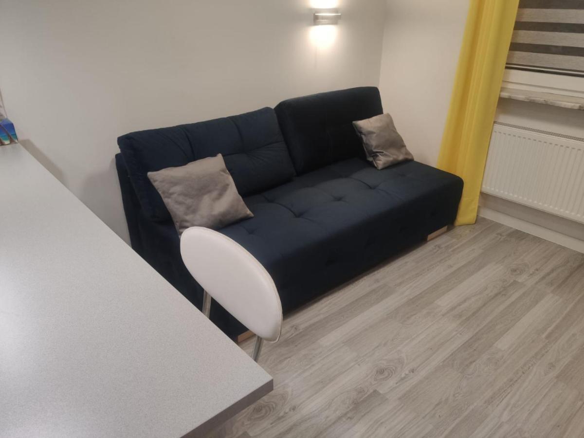 Comfortable Studio Only 20 Minutes From International Conference Center Katowice Best Place For Wuf2022 Eec Tnf Off Etc Siemianowice Śląskie Exteriér fotografie